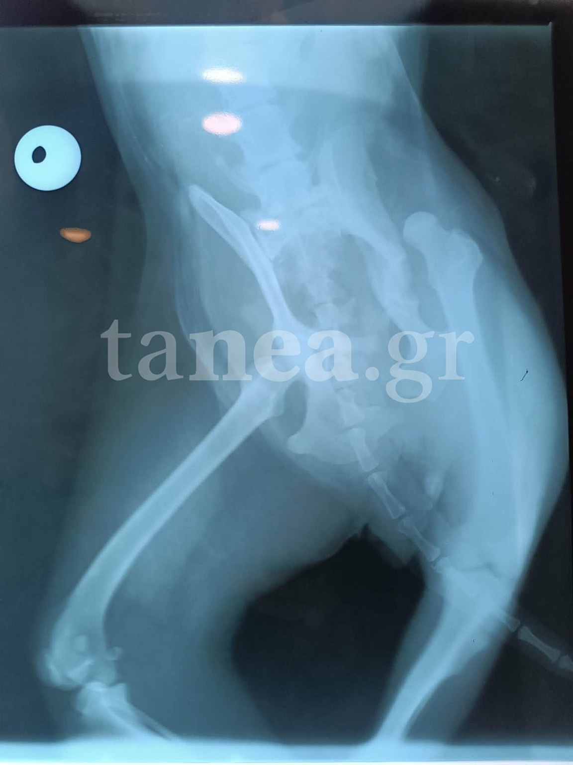 https://www.tanea.gr/wp-content/uploads/2026/05/WhatsApp-Image-2026-05-14-at-00.42.29-1152x1536.jpeg