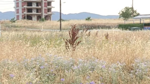 Καθαρισμός οικοπέδων: Υποχρεώσεις, προθεσμίες και πρόστιμα έως 5.000€