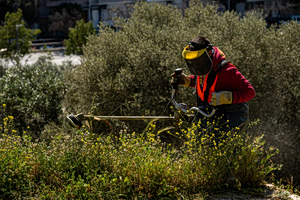 Ακαθάριστα oικόπεδα: Διπλασιάζεται το πρόστιμο μη καθαρισμού – Πότε μειώνεται στο μισό