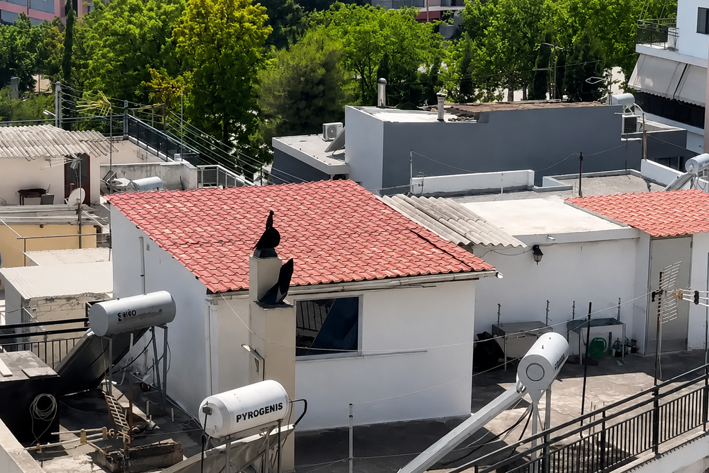 Περιστέρι: Νέες αποκαλύψεις για τα παιδιά που ζούσαν σε τρώγλη – Είχαν αφαιρεθεί ξανά από την οικογένεια το 2021