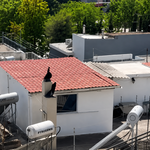 Περιστέρι: Νέες αποκαλύψεις για τα παιδιά που ζούσαν σε τρώγλη – Είχαν αφαιρεθεί ξανά από την οικογένεια το 2021