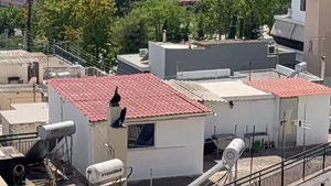 Περιστέρι: Είχε γίνει καταγγελία για το δώμα – τρώγλη στο οποίο διέμεναν τα ανήλικα για ακαθαρσίες και εικόνα εγκατάλειψης