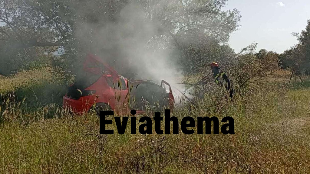 Σοβαρό τροχαίο στην Εύβοια: Αυτοκίνητο προσέκρουσε σε δέντρο και τυλίχθηκε στις φλόγες