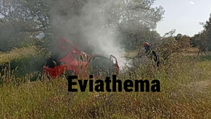 Σοβαρό τροχαίο στην Εύβοια: Αυτοκίνητο προσέκρουσε σε δέντρο και τυλίχθηκε στις φλόγες