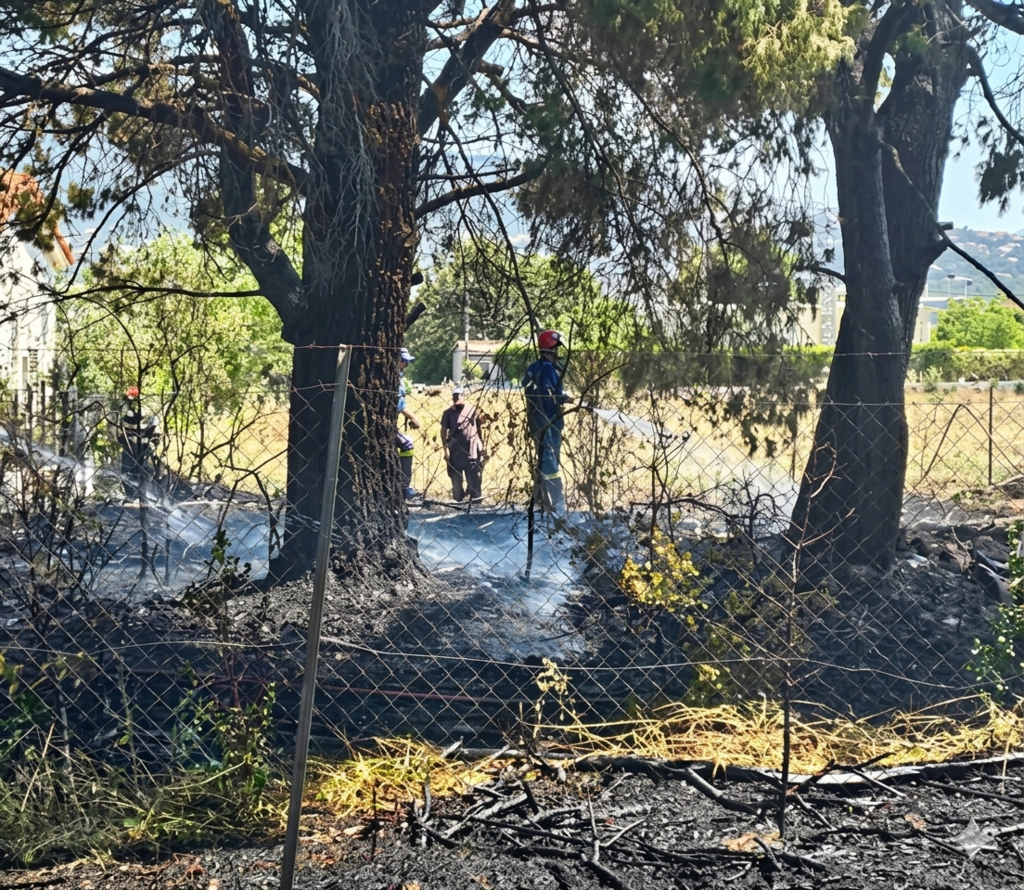 Συνελήφθη 89χρονος για τη φωτιά στο Κρυονέρι – Του επιβλήθηκε πρόστιμο πάνω από 2.500 ευρώ