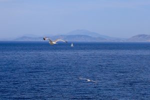 Μερομήνια: Τι καιρό προβλέπουν ότι θα κάνει στην Ελλάδα τον Ιούλιο