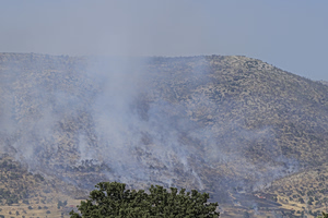 Ψάχνουν μελισσοκόμο για τη φωτιά στο Άλσος Βεΐκου – Την έσβησαν πριν πάρει διαστάσεις