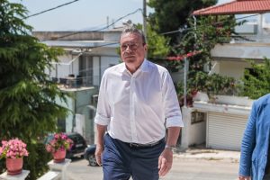 Φάμελλος για Τσίπρα και ΕΛΑΣ: Δεν βλέπουμε ανταγωνιστικά την πρωτοβουλία, αλλά συντροφικά