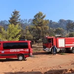Συναγερμός για φωτιά στη Ριτσώνα Ευβοίας – Μάχη για να περιοριστεί η εξάπλωσή της