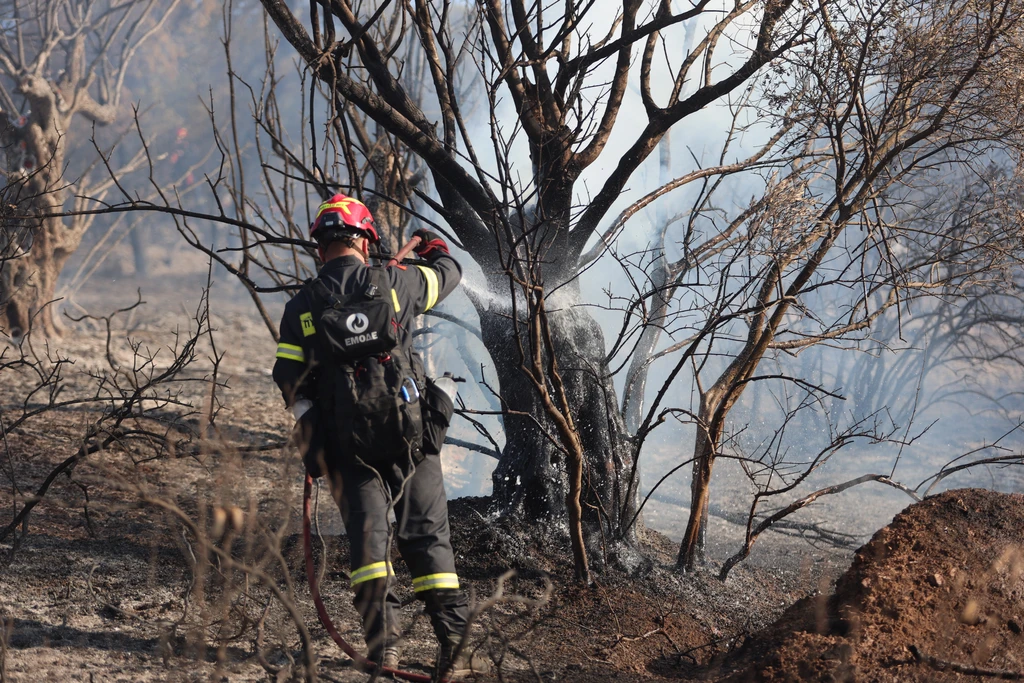 Κάηκαν 25 στρέμματα στην Πρέβεζα από φωτιά σε παλέτες – Σπινθήρες από τροχό προκάλεσαν πυρκαγιά στη Χαλκιδική