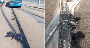 Καύσωνας στην Ευρώπη: Ράγες και φανάρια λιώνουν από τη ζέστη