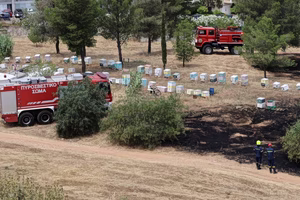 Φωτιά στο Άλσος Βεΐκου: Συνελήφθη ο 45χρονος μελισσοκόμος – Το «τσουχτερό» πρόστιμο