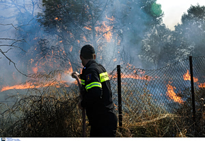 Τρίκαλα: Συνελήφθη 52χρονος για εμπρησμό από αμέλεια κατά τη διάρκεια θερμών εργασιών