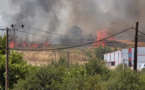 Φωτιά στην Εύβοια: Υπό έλεγχο σε 15 λεπτά η πυρκαγιά κοντά σε σπίτια – Έρευνα για τα αίτια