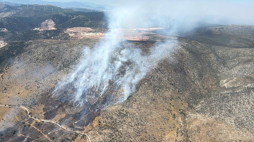 Από κάπνισμα μελισσών προκλήθηκε η φωτιά στο λόφο της Φιλοθέης- Αναζητούνται οι μελισσοκόμοι