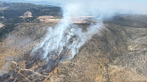 Από κάπνισμα μελισσών προκλήθηκε η φωτιά στο λόφο της Φιλοθέης- Αναζητούνται οι μελισσοκόμοι