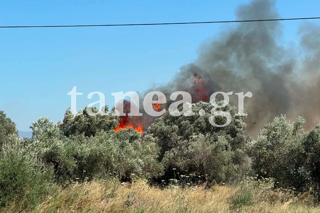 Φωτιά στα Σπάτα: Σηκώθηκαν πέντε εναέρια μέσα – Δείτε φωτογραφίες και βίντεο