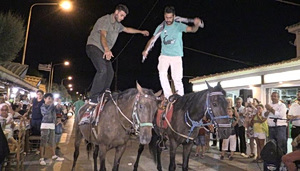 Η Λέσβος καλπάζει έξω από τον νόμο – Ο ταύρος έλειψε, τα άλογα όχι