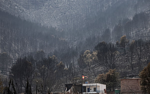 Ισπανία: Στους 14 οι νεκροί από τις πρωτοφανείς πυρκαγιές – Γυναίκα υπέκυψε από τα εγκαύματά της