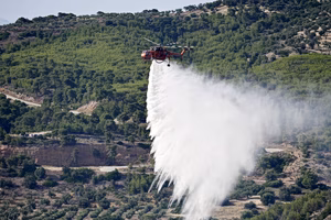 Οριοθετήθηκε η πυρκαγιά σε χαμηλή βλάστηση στη Δροσιά Χαλκίδας