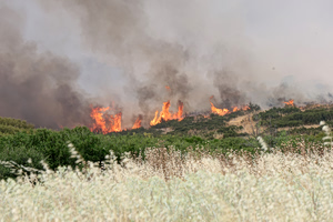 Φωτιά τώρα στο Ωραιόκαστρο Θεσσαλονίκης – 112 για εκκένωση της Ανθούπολης