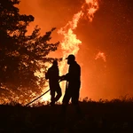 Ολονύχτιος πύρινος εφιάλτης στο Ωραιόκαστρο – Στις φλόγες περιουσίες, με τον ισχυρό άνεμο να δυσκολεύει την κατάσβεση (φωτό & video)