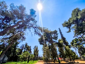Καιρός σήμερα: Έως 38 βαθμοί η θερμοκρασία – Πού αναμένονται βροχές και καταιγίδες