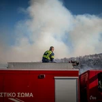 Πυρκαγιά στην Οινόη: Βελτιωμένη η εικόνα – Μάχη για την κατάσβεση σε πολλαπλές ενεργές εστίες (βίντεο)