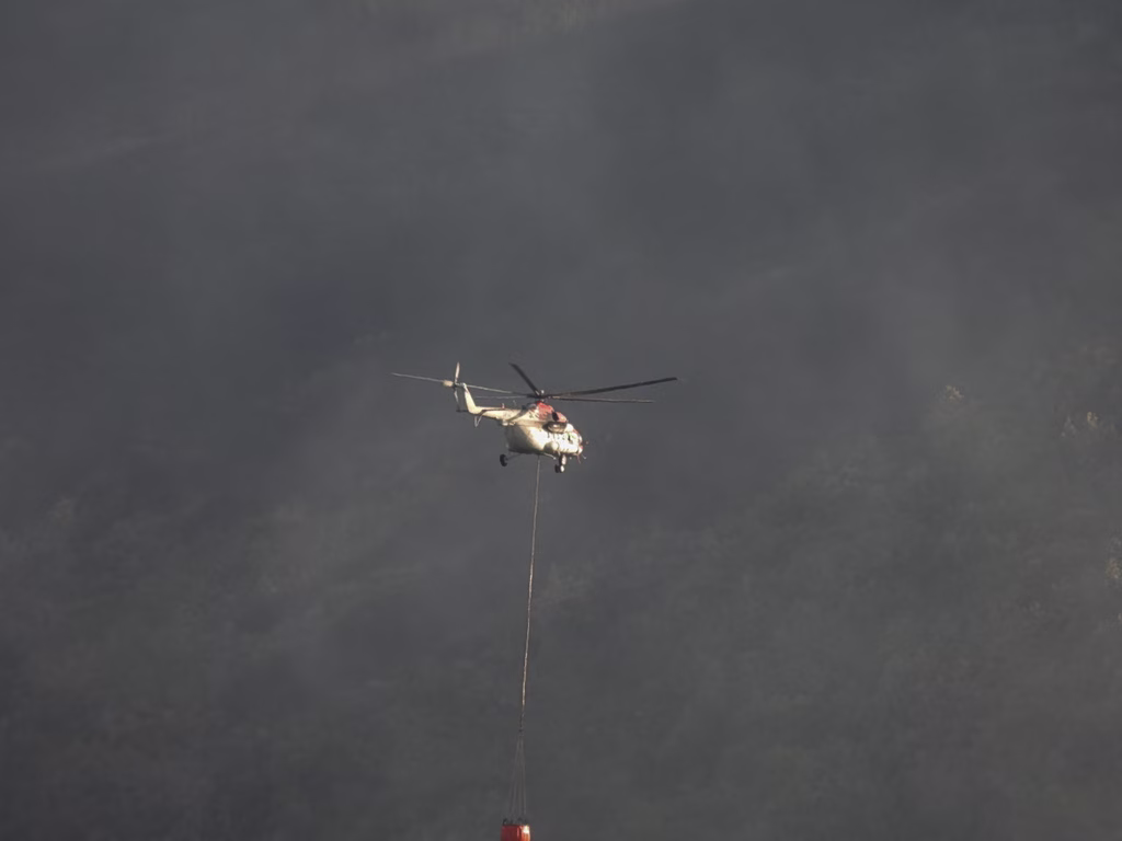 Φωτιά στην Κέρκυρα: Κοντά στον οικισμό Βασιλικά – Επιχειρούν εναέρια μέσα (pics/vids)