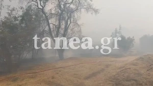 Φωτιά τώρα στην Πυλαία Θεσσαλονίκης – Νέο 112 για απομάκρυνση (video)