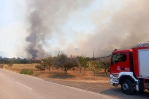 Φωτιά σε χαμηλή βλάστηση στα Ιωάννινα