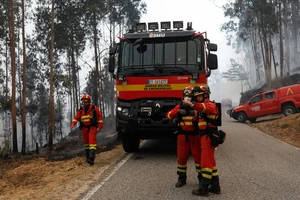 Πύρινος εφιάλτης στην Πορτογαλία: Πάνω από 100.000 στρέμματα καμένα – Μάχη με τις φλόγες δίνουν 1.100 πυροσβέστες