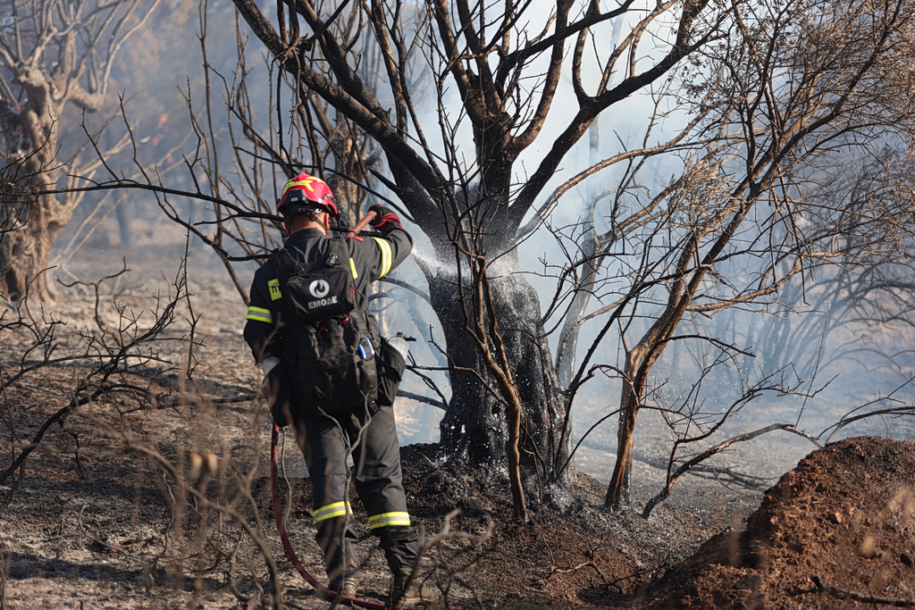 Συναγερμός στην Κνωσό: Φωτιά κοντά στον αρχαιολογικό χώρο