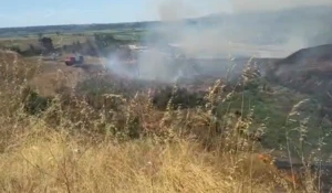 Έβρος: Φωτιά σε αγροτοδασική έκταση στα Λάβαρα – Στις φλόγες κτηνοτροφική μονάδα