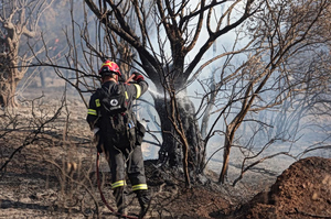 Ακραίος κίνδυνος πυρκαγιάς σήμερα σε Αττική και ακόμη τέσσερις περιοχές της χώρας – ΧΑΡΤΗΣ