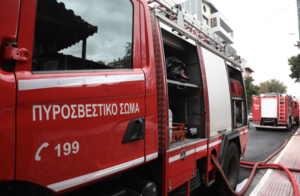 Φορτηγό εν κινήσει τυλίχθηκε στις φλόγες στην περιοχή Γιαννιτσών – Άμεση επέμβαση της Πυροσβεστικής