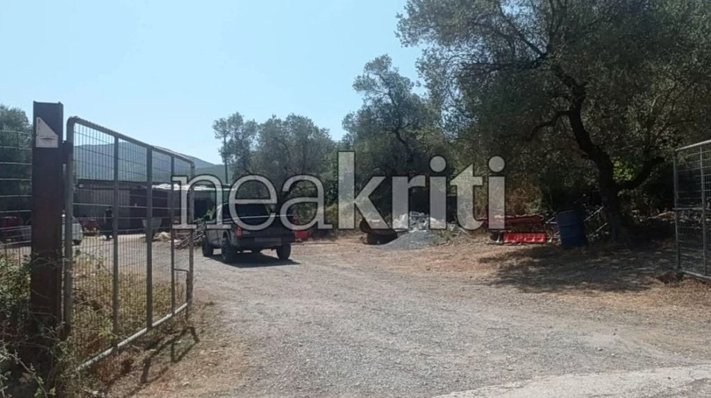 Ρέθυμνο: Τέσσερις συλλήψεις για την άγρια επίθεση σε 69χρονο κτηνοτρόφο – Του είχαν κόψει τη γλώσσα