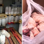 Συναγερμός στην Αττική: Κατασχέθηκαν 6,2 τόνοι ακατάλληλων κρεάτων – Σε 20 επιχειρήσεις η διακίνηση
