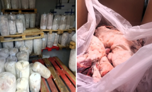 Συναγερμός στην Αττική: Κατασχέθηκαν 6,2 τόνοι ακατάλληλων κρεάτων – Σε 20 επιχειρήσεις η διακίνηση