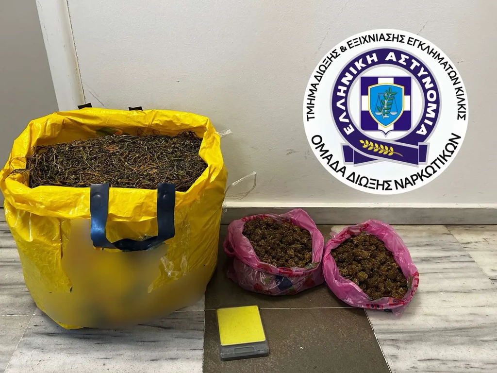 Θεσσαλονίκη: Συνελήφθη άνδρας για καλλιέργεια 26 δενδρυλλίων κάνναβης σε σπίτι και ποιμνιοστάσιο