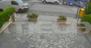 Βριλήσσια: Συγκλονίζει ο 66χρονος που δέχθηκε επίθεση από σκύλο – «Ο Μαξ ήταν όλη μου η ζωή, τον έπνιξε επί τόπου
