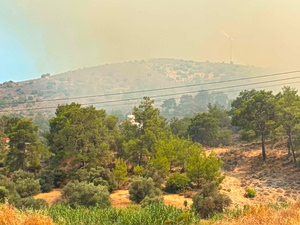 Φωτιά στην Κύπρο: Εκκενώθηκαν οι κοινότητες Αγίας Άννας και Ψευδά – Κάηκαν σπίτια