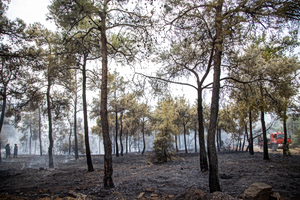 Απαγόρευση κυκλοφορίας στο Περιαστικό Δάσος Θεσσαλονίκης, στις δασικές εκτάσεις Ωραιοκάστρου, Θέρμης και το Δασόκτημα Πανοράματος