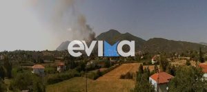 Εύβοια: Φωτιά τώρα σε δάσος στα Πολιτικά – Στη μάχη και 5 εναέρια