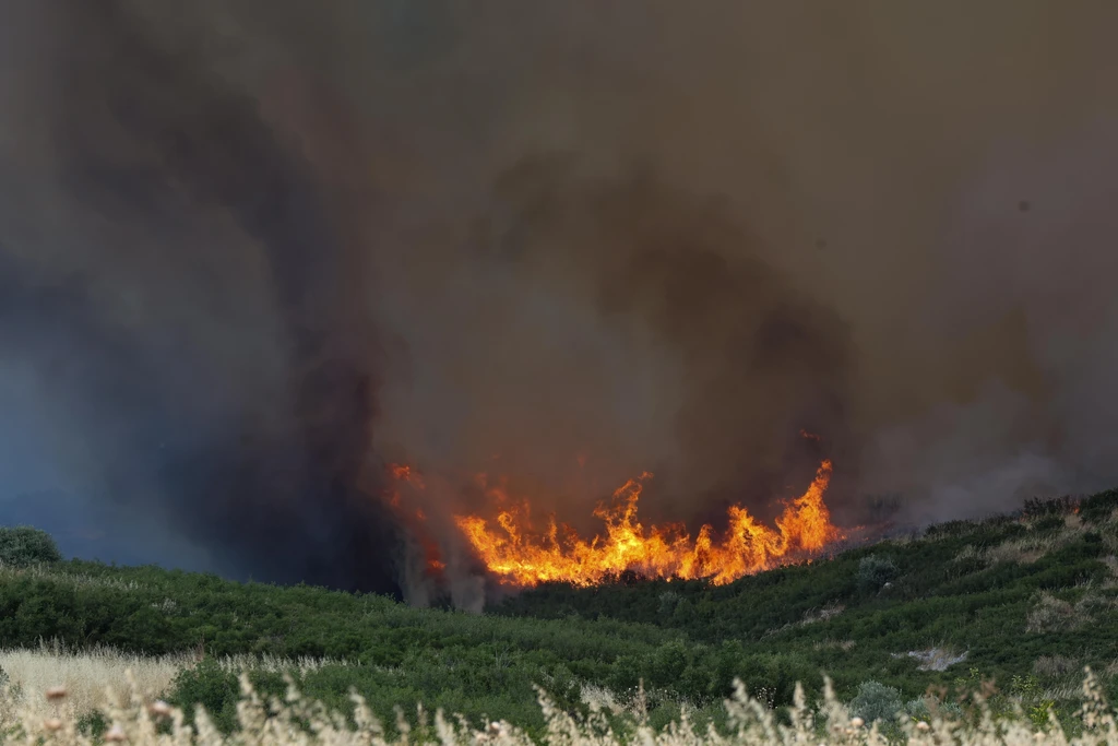 Φωτιά τώρα στην Κέρκυρα κοντά στον οικισμό Βασιλικά – Επιχειρούν εναέρια μέσα