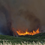 Φωτιά τώρα στην Κέρκυρα κοντά στον οικισμό Βασιλικά – Επιχειρούν εναέρια μέσα