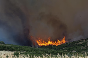Φωτιά τώρα στην Κέρκυρα κοντά στον οικισμό Βασιλικά – Επιχειρούν εναέρια μέσα