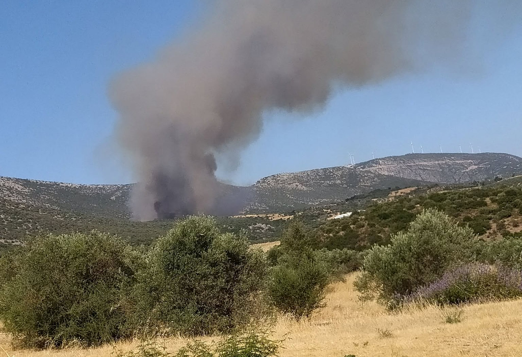 Φωτιά στην Αγία Ελένη Τροιζηνίας: Νέο μήνυμα από το 112 – «Απομακρυνθείτε προς Άνω Φανάρι»