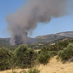 Φωτιά στην Αγία Ελένη Τροιζηνίας: Νέο μήνυμα από το 112 – «Απομακρυνθείτε προς Άνω Φανάρι»