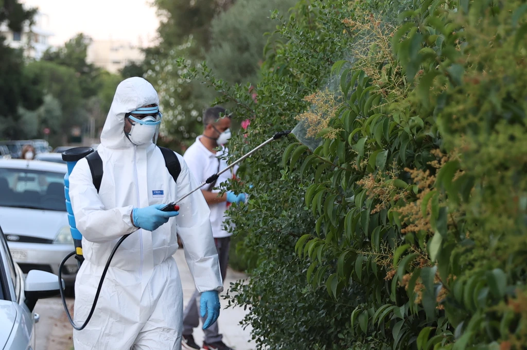 Ιός του Δυτικού Νείλου: Δεκατέσσερα νέα κρούσματα στο Λεκανοπέδιο